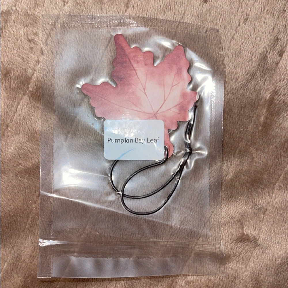Pumpkin Bay Leaf Car Air Freshener